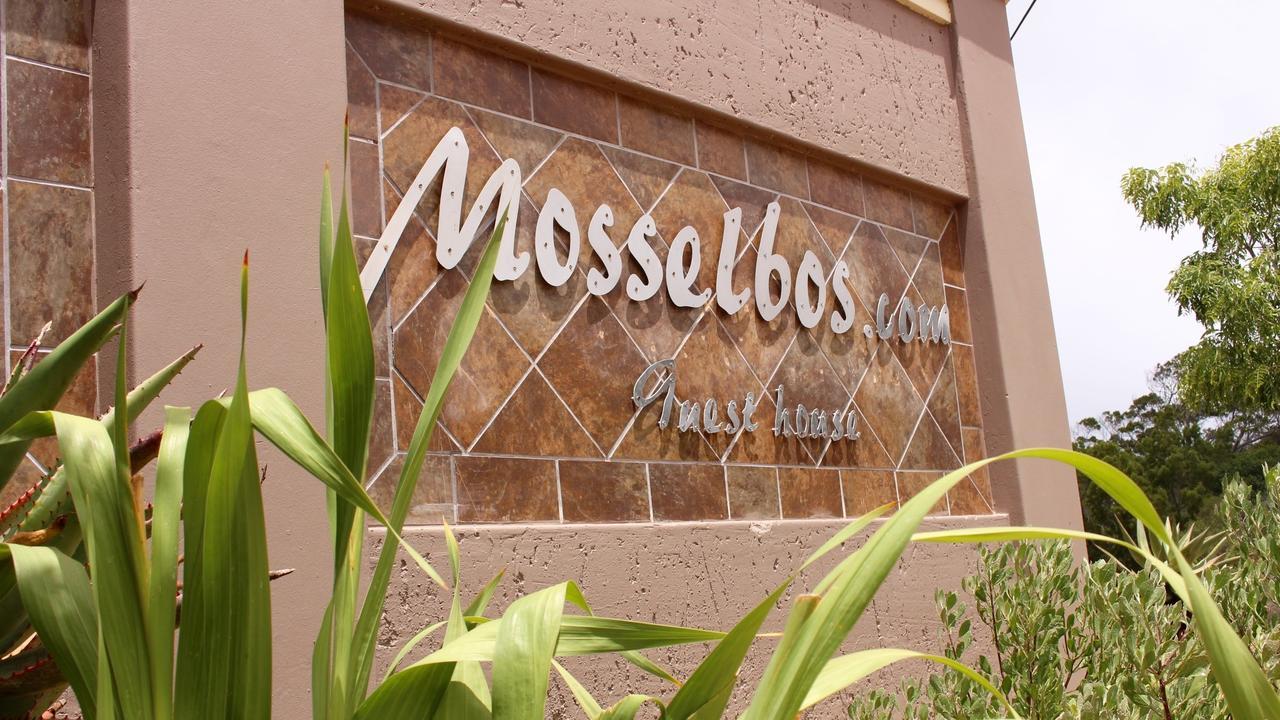 Mosselbos Guesthouse Self-Catering Great Brak River Exterior photo